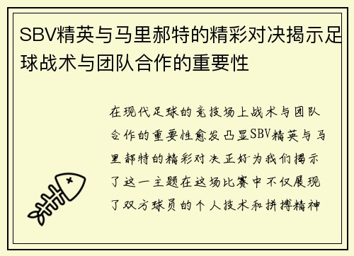 SBV精英与马里郝特的精彩对决揭示足球战术与团队合作的重要性