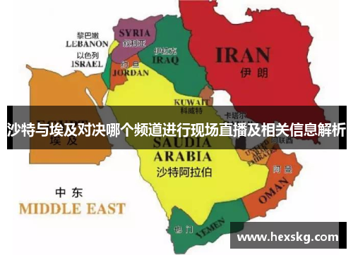 沙特与埃及对决哪个频道进行现场直播及相关信息解析